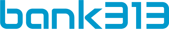 bank 313 Logo